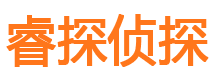 谢家集侦探